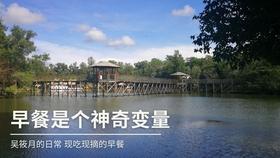 支付宝支付密码怎么修改
